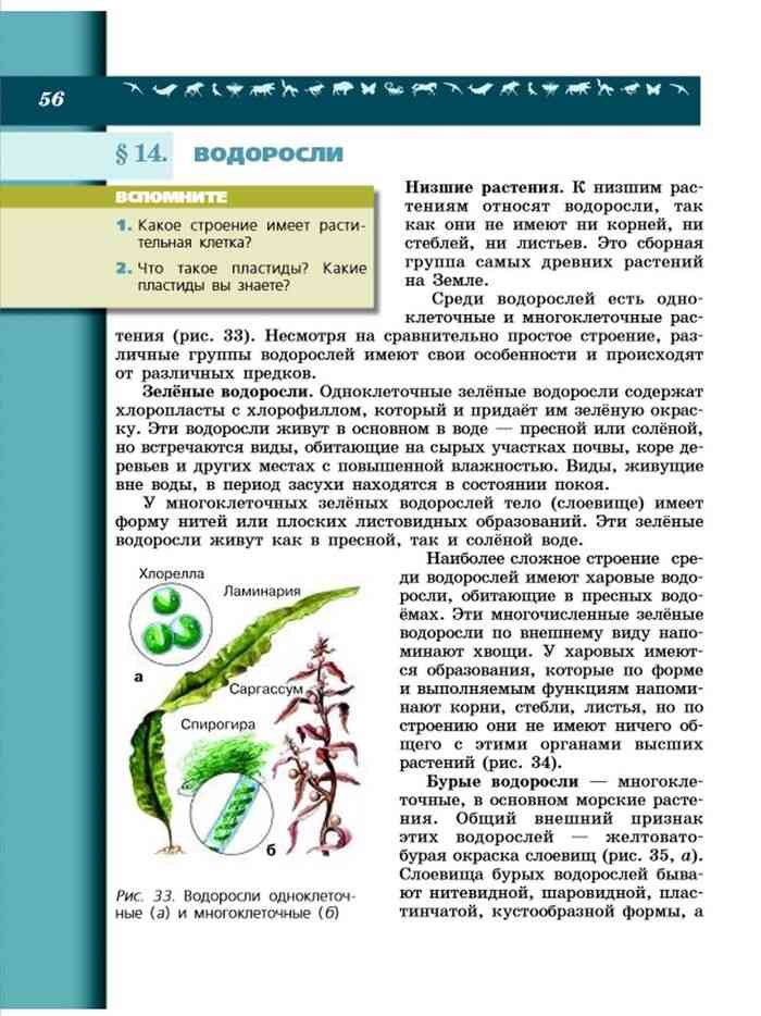 биология 5 класс учебник читать онлайн пасечник